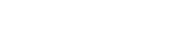 Econsult